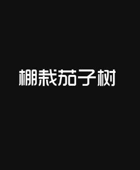 棚栽茄子樹